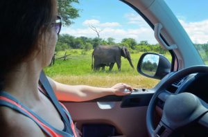 Self Drive Car Hire in Nairobi